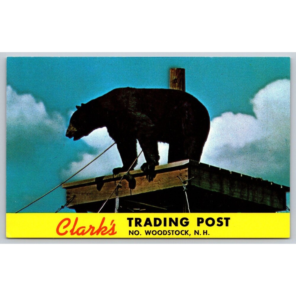 Postcard New Hampshire Woodstock Clark's Trading Post Bear Rastus Unposted c1970
